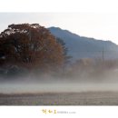 가을에 다녀온 남도여행...보길도 이미지