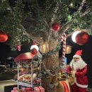 발산역 화장실 | 발산역 카페 어나더사이드 후기｜크리스마스 시즌 감성 가득한 분위기 좋은 카페