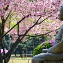 수원-1924 이미지