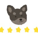 이뻐지개 이미지