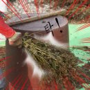 기쁨뜨락농장 이미지