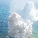 새(화산)2 이미지