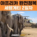 코끼리주유소 | 아프리카 세미 패키지 후기: 세렝게티 사파리 &amp; 응고롱고로 여행기 (사파리 롯지 정보 포함)