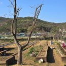 산뜨락힐링펜션 이미지