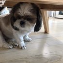 아름민박 이미지