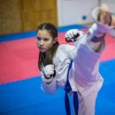 국가대표 올림픽 태권도 이미지