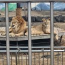 달성공원 이미지