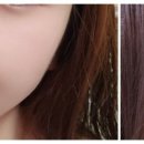 글로웍스 이미지