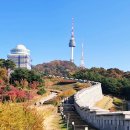 이정하수제돈까스 | 서울 남산타워 찐 원조 남산돈까스 1992 최초집 맛집 후기