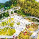 입장료 내고 가는 곳보다 훨씬 강렬하다… 362만 명 다녀간 333m 무료 스카이워크 이미지