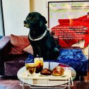 라운드앤드 망원점 | 로스팅부터 디저트까지 직접 만드는 망원역카페, 마스코트 밤이가 있는 성산동카페 <라운드앤드 망원점>