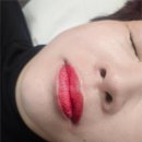 제제브로우