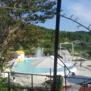 puppy lounge 이미지