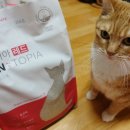(주)랩토피아 이미지