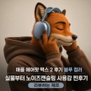 애플 에어팟 맥스 2 후기 블루 컬러 실물부터 노이즈캔슬링 사용감 리뷰