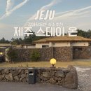 신상로 | [제주/애월] 소길리 감성 숙소 제주 스테이 온 | 강아지와 함께한 내돈내산 솔직후기