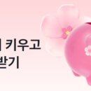 꽃돼지 - 홍성군 월산1길 6 | 꽃돼지