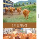 땅끝한우농장 이미지