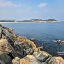 자작도 비치하우스 | 강원도 고성 속초 강릉 여행지 숙소 맛집 카페 정리