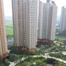 강남-115 이미지