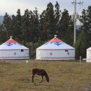 초원게스트 이미지