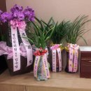 병인한의원 이미지