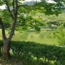 진영공원 이미지