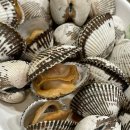 벌교꼬막정식 이미지