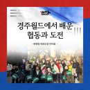 월드화랑태권도장 이미지