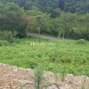 문덕면사무소 이미지