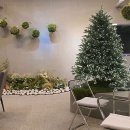 카페 더샤이어 | 🌿과천의 숨은 카페, ‘카페 더샤이어’에서의 여유로운 시간🌿