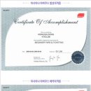 아이비여행사