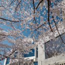 듀잇(DEW IT) 이미지