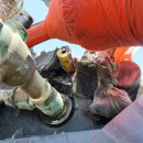 그랜드쏠라 이미지