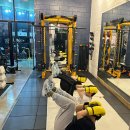 셀럽바디 이미지