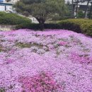 참조은사람들