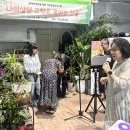 한스컬쳐