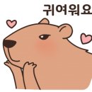 김명후다이어트복싱클럽 네이버블로그