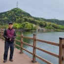 금산사길 이미지