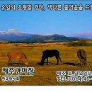 제주관광진흥개발 이미지