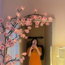 서10-407 | 일산 황룡체형교정원 네 번째 방문 솔직 후기!