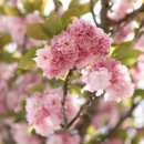 선하경로당 이미지