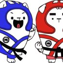 한반도태권도 이미지