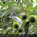 이존식농장 이미지