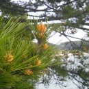 홀뫼민박 이미지