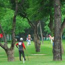 종합운동장(골프장) 이미지