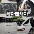 세차로새차 | 세종 손 세차 잘하는 곳 유막 제거 발수코팅 세차앤새차