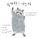 너구리 이미지
