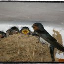 두레밥상 이미지