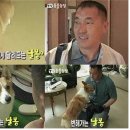아모르디 네이버블로그